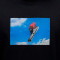 T-Shirt Jordan Flight Mountnside Gfx Crew
