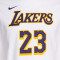 T-Shirt Nike Enfant Los Angeles Lakers Association Edition Lebron James