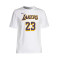 T-Shirt Nike Enfant Los Angeles Lakers Association Edition Lebron James