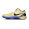 Chaussures Nike Kobe 4 Protro FCB