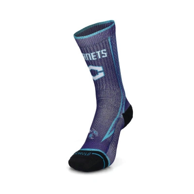 Chaussettes Charlotte Hornets Statement 2025-2026