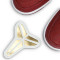 Baskets Nike Nike Air Force 1 Low Kobe Bryant HS State Champs