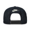 Casquette Jordan Essentials Pro Essential Structured Flat