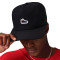 Casquette Jordan Pro Air Jordan 4 Sneaker Patcch