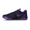 Chaussures Nike Kobe 9 Elite Low EM Protro Purple Dynasty