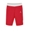 Short Jordan Team 25