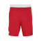 Short Jordan Team 25