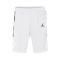 Short Jordan Team 25