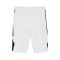 Short Jordan Team 25