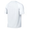Maillot Nike Enfant Park VIII