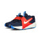 Chaussures Nike Team Hustle D 12 Preescolar