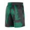 Short Nike Boston Celtics Practice Mesh Courtside