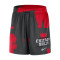 Short Nike Chicago Bulls Practice Mesh Courtside