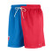 Short Nike WNBA 30th Anniversary