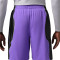 Short Jordan Sport Y2K Q54