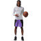 Short Jordan Sport Y2K Q54