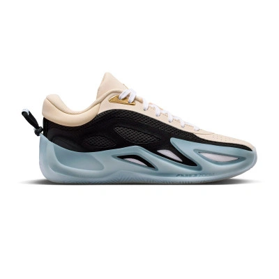 Chaussures Femme Chaussures Jordan Heir Series 2 Precious Medal