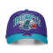 Casquette Mitchell & Ness Charlotte Hornetts Team Arch Classic Red