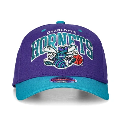 Casquette Charlotte Hornetts Team Arch Classic Red