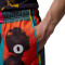 Short Jordan Brooklyn Mesh Aop