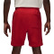 Short Jordan Brooklyn Fleece