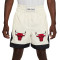 Short Jordan Flight Muay Thai