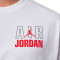 T-Shirt Jordan Flight Reis Legend Crew
