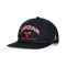 Casquette Jordan Pro Cap Unstructured Flat Bird