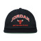 Casquette Jordan Pro Cap Unstructured Flat Bird