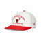 Casquette Jordan Pro Unstructured Chicago Bulls Flat Bill 5Pnl