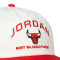 Casquette Jordan Pro Unstructured Chicago Bulls Flat Bill 5Pnl