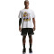 T-Shirt Nike Lebron James "For the Record" Max 90