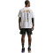 T-Shirt Nike Lebron James "For the Record" Max 90