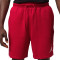 Short Jordan Jumpman Fleece 2