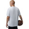 Maillot Jordan Sport Gfx Crew 2