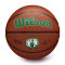 Ballon Wilson NBA Team Alliance Boston Celtics