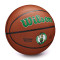Ballon Wilson NBA Team Alliance Boston Celtics