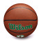 Ballon Wilson NBA Team Alliance Boston Celtics