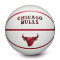 Ballon Wilson NBA Team Pixel Chicago Bulls