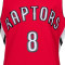 Maillot Mitchell & Ness Toronto Raptors Swingman José Calderon 2005-06