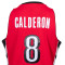 Maillot Mitchell & Ness Toronto Raptors Swingman José Calderon 2005-06