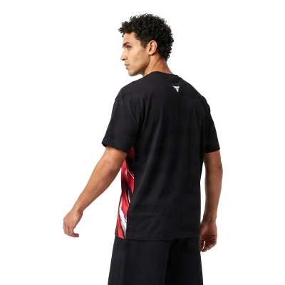 T-Shirt Chicago Bulls Icon