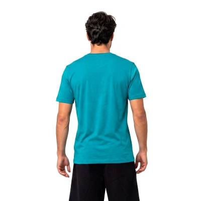 T-Shirt Charlotte Hornets Logo