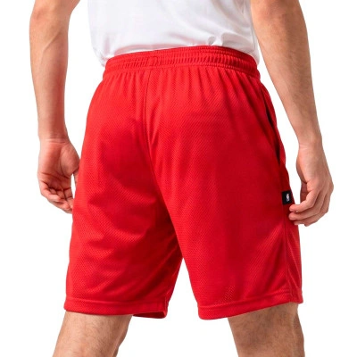 Short Chicago Bulls Shorts Standard Issue Mesh 5"