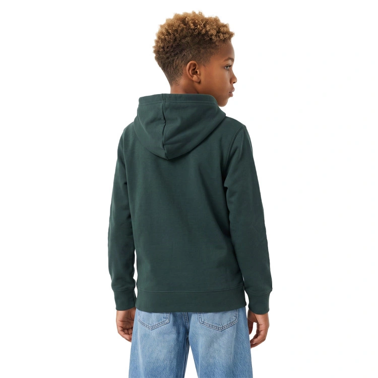 sudadera-jordan-brooklyn-fleece-nino-verde-1