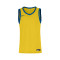 Maillot Nike Team 25