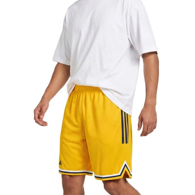 Short ALBA Berlin Domicile 2026-2027