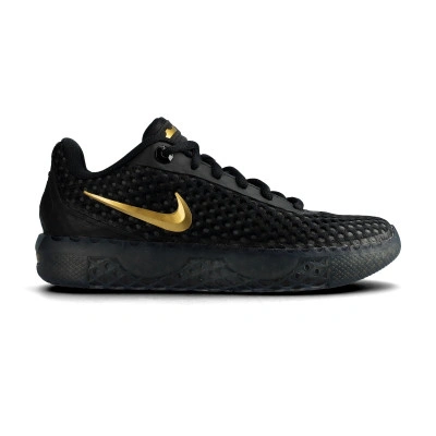 Chaussures Lebron Witness X