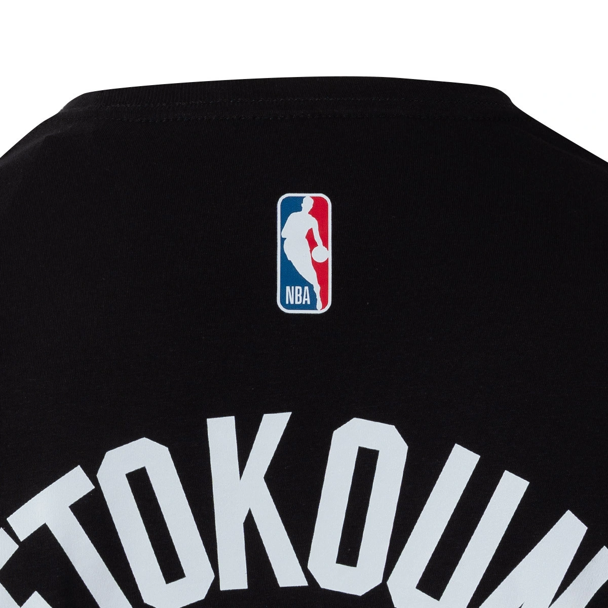 camiseta-nike-miamia-heat-essential-icon-edition-giannis-antetokounmpo-multicolor-6