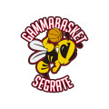 Gammabasket Segrate
